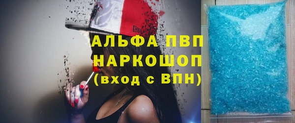 прущие грибы Белокуриха