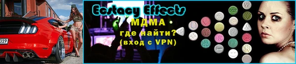 прущие грибы Белокуриха