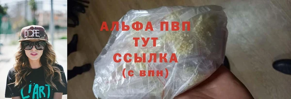 прущие грибы Белокуриха