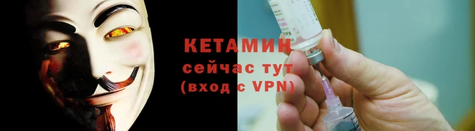 прущие грибы Белокуриха