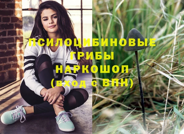 бошки Беломорск