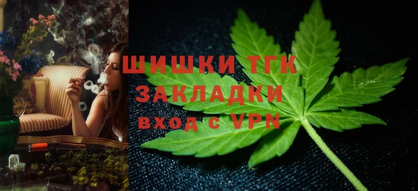прущие грибы Белокуриха