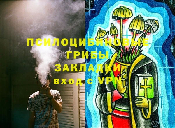 прущие грибы Белокуриха